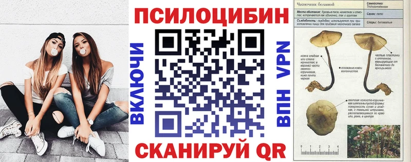 Псилоцибиновые грибы GOLDEN TEACHER  MEGA вход  Цивильск 